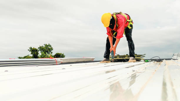 Best Green or Eco-Friendly Roofing Solutions  in Arcadia, SC