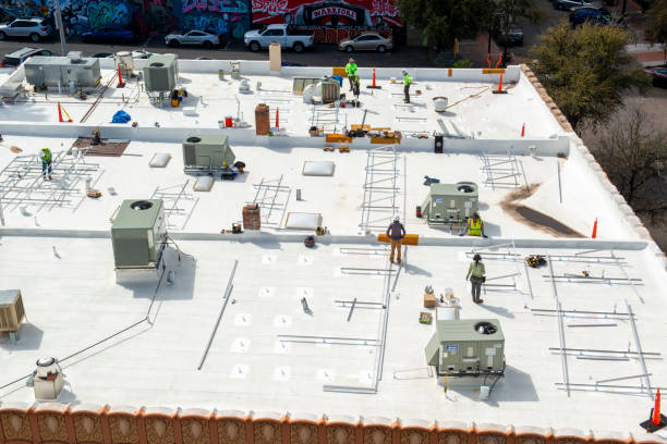 Best Asphalt Shingle Roofing  in Arcadia, SC