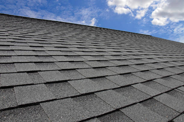 Professional Roofing in Arcadia, SC